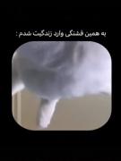😂,,,,,,,,,,,,,,,,,,,,,,,,,,,,