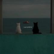 ******************************