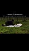 حققققققققققققققققققققققققققققق