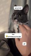بخدا حققققققققققققققق🤣🤣🤣🤣👍