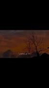 میدونم خیلی سخته ها ولی....برای اینکه بتونم زندگی رو ادامه بدم نیازه