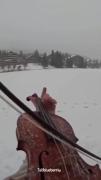 صداش خداییش🎻🎻.................