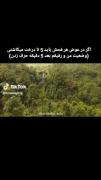 صحبتای منو رفیقم به روایت تصویر: