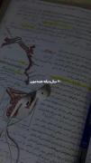 موفق میشی ادامه بده به راهت :)