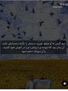 و آن دیوانه هنر بود ..........