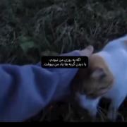 اگه یه روزی من نبودم .........