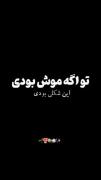 تو اگه موش بودی...............