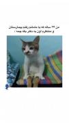 مادر همه جانو تنم مگه نه؟🤣🤣‌‌‌