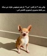 هر کی بگه نشده با آپچاقی میام خدمتش🙄🤣