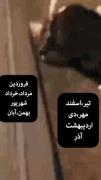 کدومی؟تو نظرات بوگو🧸🍃‌‌‌‌‌‌‌
