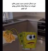 دقیقاً 🤣.....................