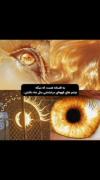 فقط ادمای خاص چشمای قهوه ای دارن😎✨️