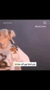 در کنسرت بیلی چه میگذرد🥺😂😂😂