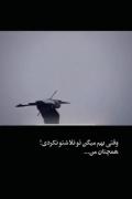 :( 🖤 دیگه جوننن ندارم ولی تلاش میکنم
