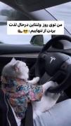 همین که تنهام خوشحالم 🤙🔗.......