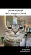 حق..............................😊