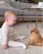 وییییییی خدا سگو بچه رو چقدر گوگولینننن🥺🎀🎀