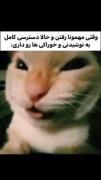 حقققق🚭😂.......................