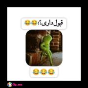 همه پسرا ی همچین عکس رو دارن 😂