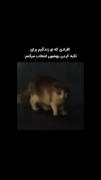دقیقاااااااا همینه آقااااااااااا..:)