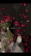 کاری که آدما با ذوقم میکنن....
