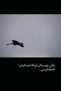 غمگین .