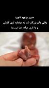 دقت کنید در آفرینش الله ........