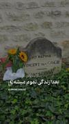 واقعا خیلی برای بعدا دیر شده خیلی