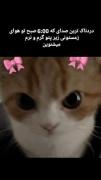 حقققققققققققققققققققققققققققققق