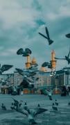 آخ مددی ابوفاضل قمری ابو فاضل آخ مددی