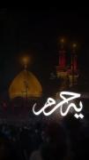 + هرکـی اومده دیوونـِه شده میگه ببرم به حرم ، به حرم💔:) 
