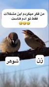 دادا، مشکلات برای همه است!😑🤣