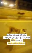 خدااا 🤣🤣🤣🤣🤣 ترکیدم ادم وقتی شب میره بیرون !🤣
