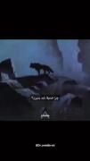 ……🖤🐺زندگی مثل زندگی یک گرگ هست 🐺🖤……