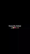 🌷🌷🌷🌷Animalllllllllllllssss 🎀🎀🎀