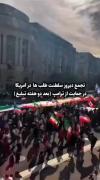 بههه بههه🕶️🇮🇷👊🏻.............