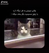 اینجاس که باید گفت: ایشششششششش