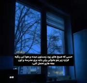 ولی وایبش 🤌🏻