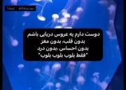 بلوب بلوب بلوب 🪼🫧