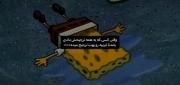 درسته.‌‌‌‌‌‌‌‌‌‌‌‌‌‌‌‌‌‌‌‌‌‌‌‌‌‌