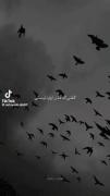 معلوم شد از اونم بد تری.......