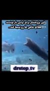 صدای ماهی🤣🤣................. 