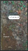 وقتی بارون میاد یه کلیپ قشنگ درست کن🥹