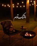 دلتنگ توعم که به داد دلم برسی... 