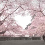 وایییییی عاشق این وایبممممم پینترستیه˚.🎀༘⋆
