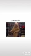 € ______شیر درون من 😂______ €