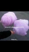 و بنفش برای همیشه تنها موند >>>>