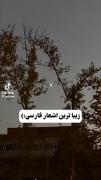 قشنگ ترین بیت هایه فارسی ‌‌‌‌‌‌☆