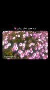 زیبایی اون دوستم که میگه خیلی زشتم...