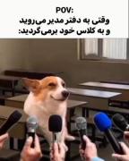 بخدا این داره دیگهه خیلی حقق میگه باید طبیعی باشه😆🤣